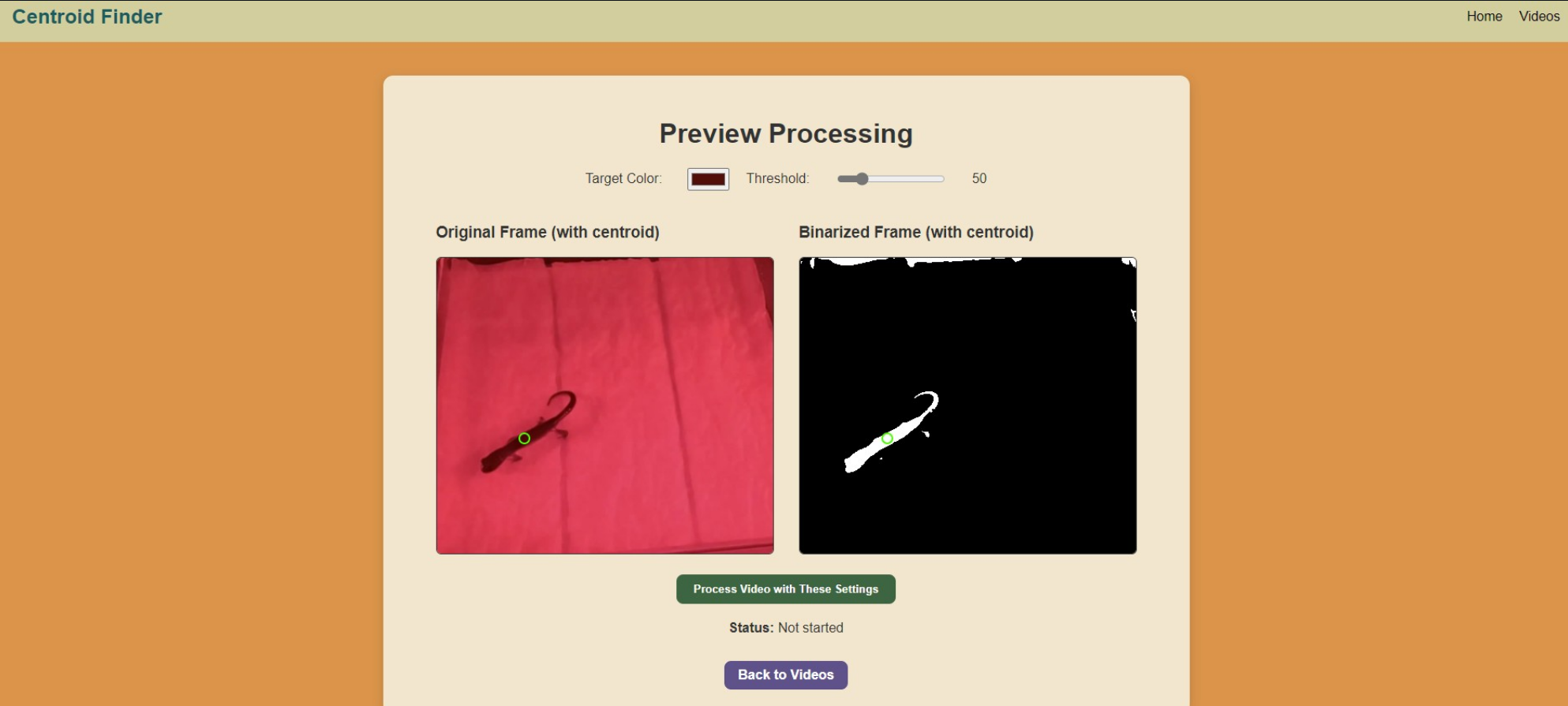 Screenshot of the Salamander Tracker research project